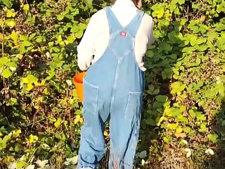 Time to Pick Blackberries