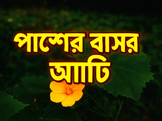 The Neighbor Bengali Audio Story  & Mystery Podcast 2025
