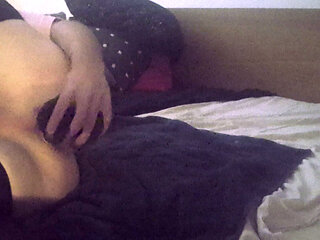 Gos CD lying in bed and playing