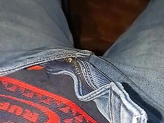 Dick in Pant