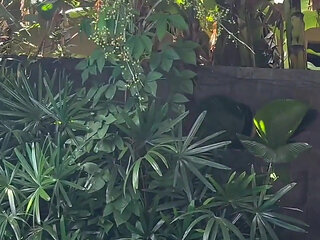 Lulu Wild- Asian JAV Actress Creampied in Paradise