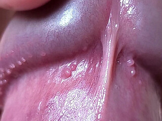 Close up cock head slow edging