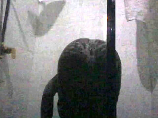 Hot Ebony Beauty Enjoying a Relaxing, Sensual Bath and strokes her pussy