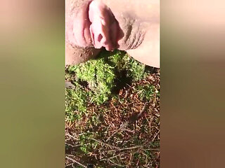 Squirt