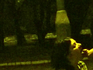 Slut Public Blowjob in Park