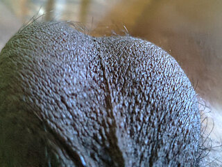 My Indian black long thick dick.