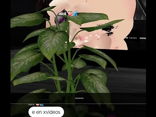 Follando a dos culonas gemelas