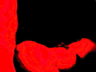 We Couldn&rsquo_t Stop Ourselves...