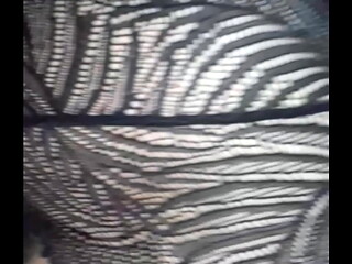 Sexo en cuatro