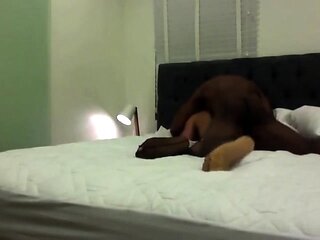 Power Play Interracial Amateur Sex