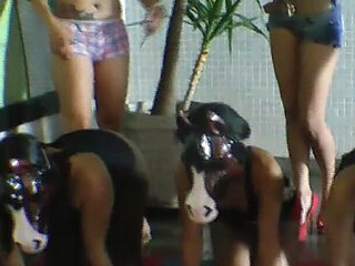 Be My Pet Sweet Girl - Lezdom Top Babes