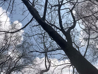 Anal in the Woods Part 1