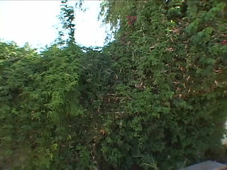 Busty with Anal Cravings