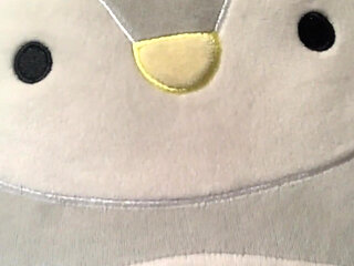 Submissive Redhead in Pigtails Adorably Strips for You