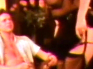 Vanessa the Exciter Pig