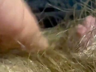 Closeup Hairy Moments