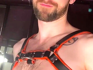 Dungeon Slave Sph Humiliated, Collared & Compared