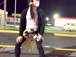 Public toy, anal toys, anal toy