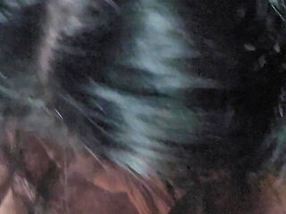 Stephania Giving Bday Head