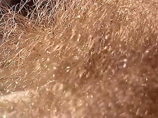 Bathe in the Forest of My Hairs