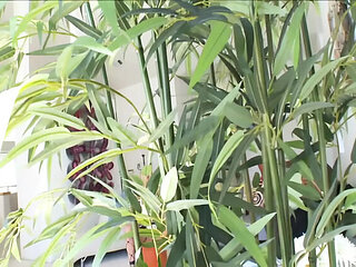 Blake Rose Queen Pussy Devotion Hardcore Blowjob Session