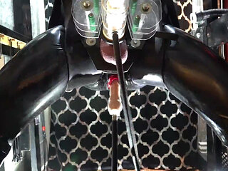 Automated Perversions Compilation