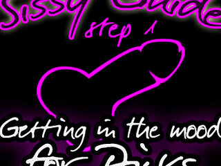 AUDIO ONLY - Sissy guide step 1 getting in the mood for dicks