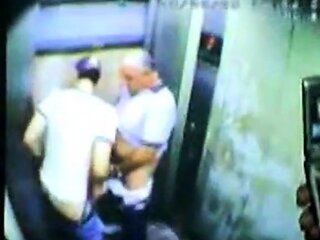 Daddy Bear and his Young Cub Caught on Camera