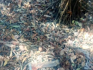 Mare&ntilde;a in the mountains