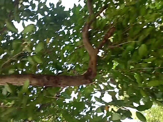 Vlog Sex Shaking Makes Penis Longer