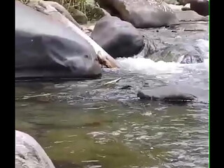 I played with my cock on river until I cum