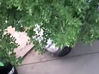 I Put These Socks on for You Stepdaddy