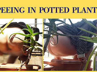I Pee in the Potted Plant Again