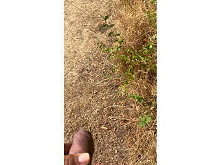 Straight married guy hungry for my dick in the cruise area.