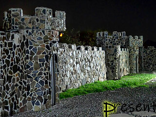 Riding crop bastinado HAREM - Mistresses and Master