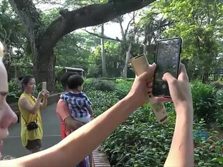 Awesome vacation with Elsa Jean: Blonde, Pov  Cowgirl Porn