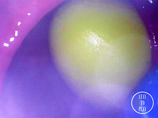 INSIDE ASS POV: The Eggs disappeared in the hole ...
