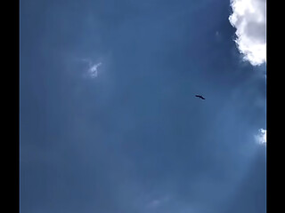 FLYING HIGH