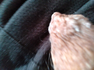 Man available to have his cock sucked