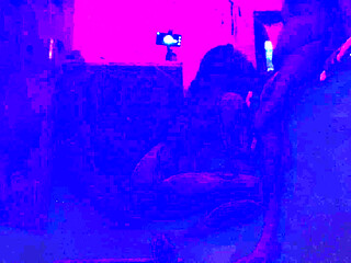 Indian Desi Stepsister in Law Hardcore Fucking Sex Videos