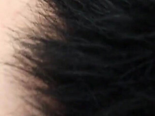 A Kitty Showing off Her Kitty