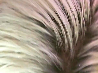 POV Blowjob to Doggy BBC Interracial BBW Cum on Face Tongue