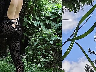 Wild Pegging