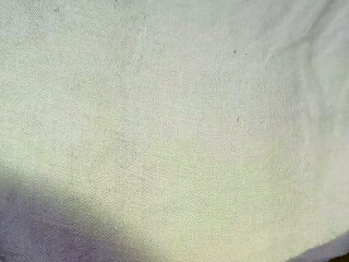 Fucking the ass