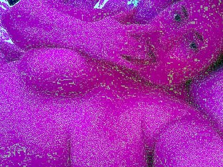 Amazing BBW Webcam Big Boobs Porn Video Livesex Livecam