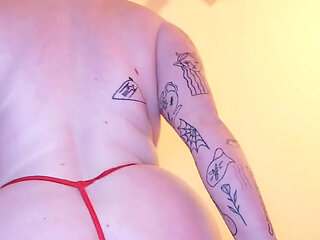 I Hope You Felt Festive Today Good Ittle Pets Deserve Treats