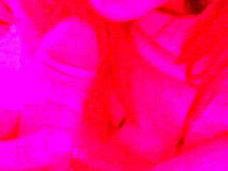 I'm Sucking My Friend's Husband's Whole Cock While She and Her Husband Watch Us Having Fun