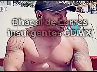 Chacal de barras insurgentes es humillado como puta marica a cambio de algo de dinero