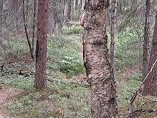 Naked Hike Make Me Horny