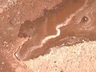 204-wguuhy-ouhsgy-poo-sfs